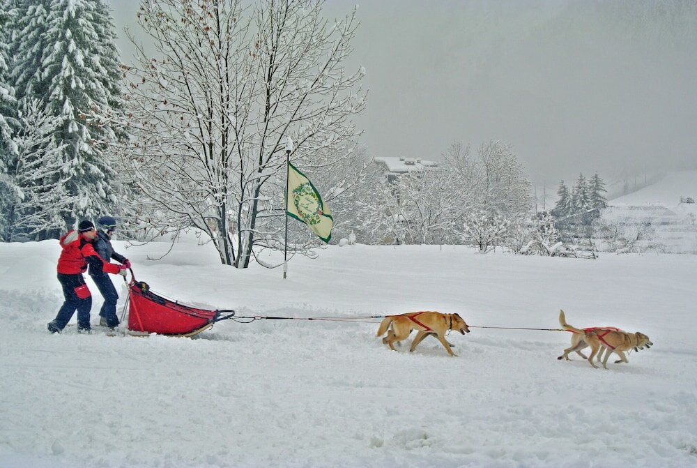 Фото Auberge de La Maison