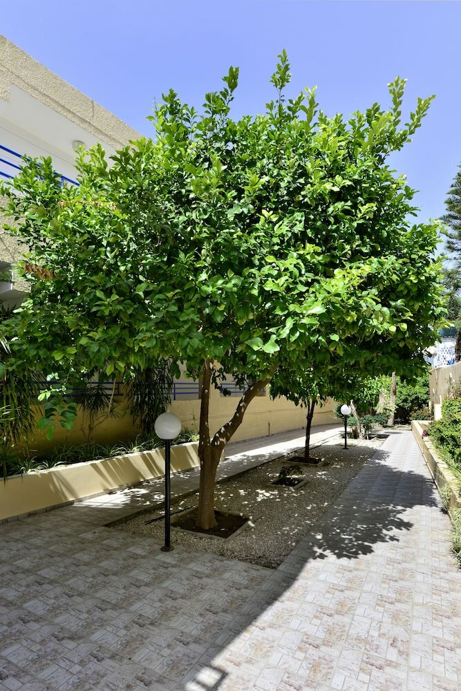 Фото Апартаменты Napa Prince Hotel