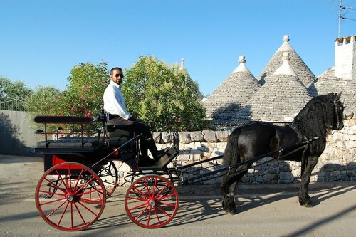 Гостиница Trulli Holiday Albergo Diffuso