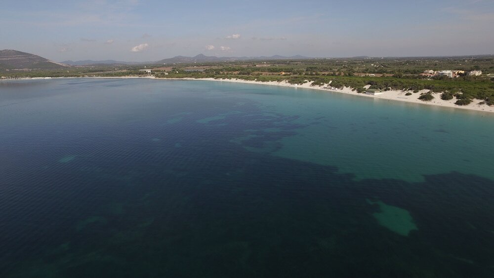 Фото Hotel Oasis