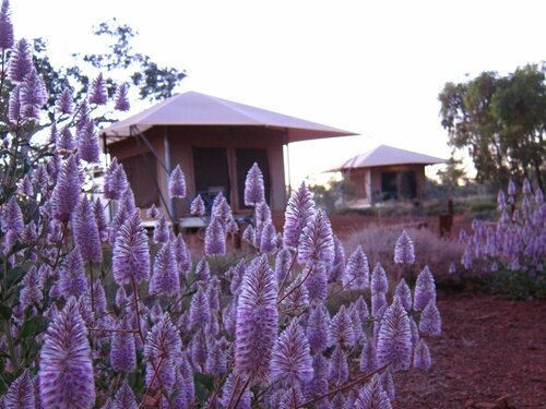 Дом отдыха Karijini Eco Retreat в Ньюмане