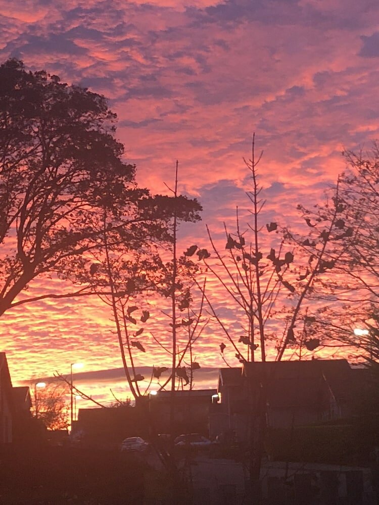 Фото Cove Bay Hotel