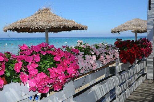 Внешний вид отеля Delfino Beach Hotel в Марсале, фото 5