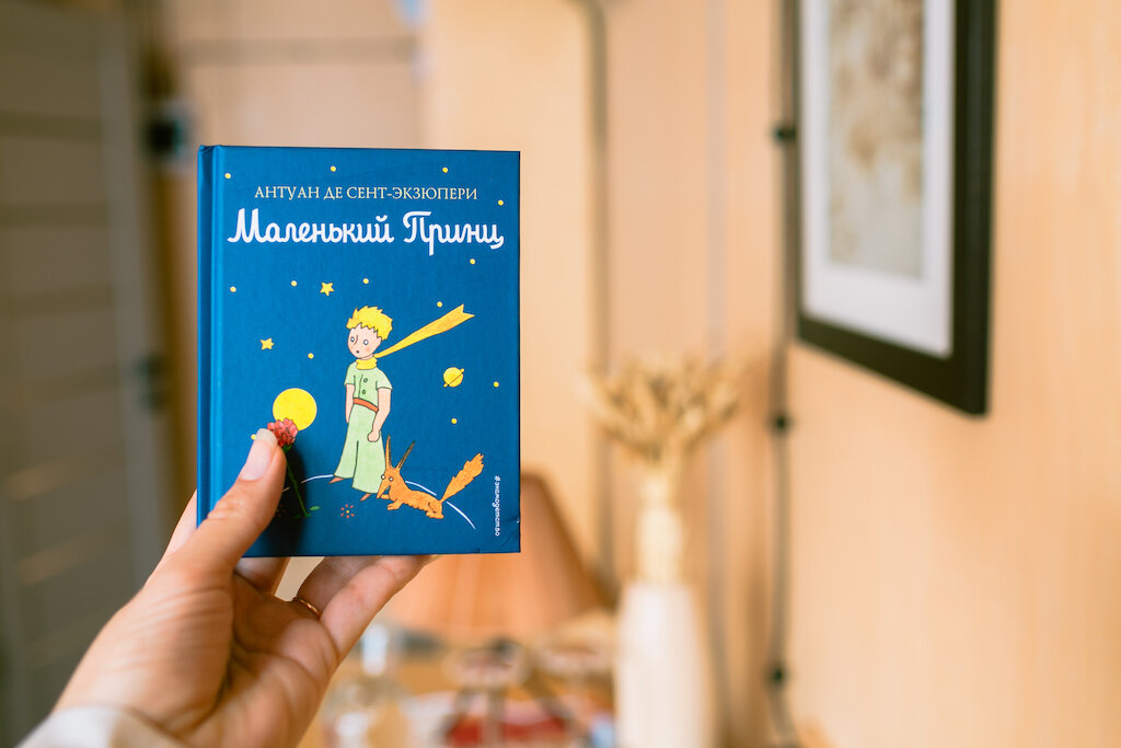 Фото Слон в удаве