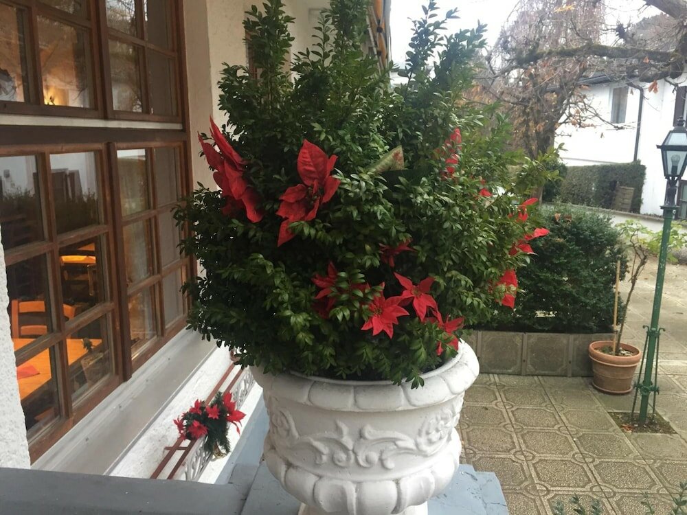 Фото Tutzinger Hof