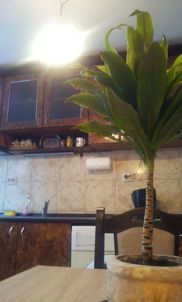 Фото Varna Apartments