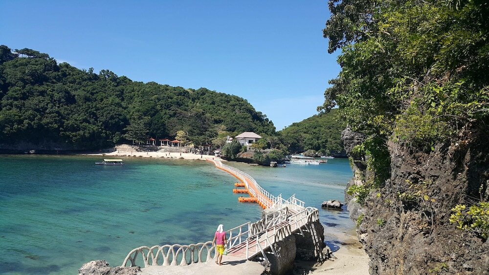 Фото Carribean Transient House