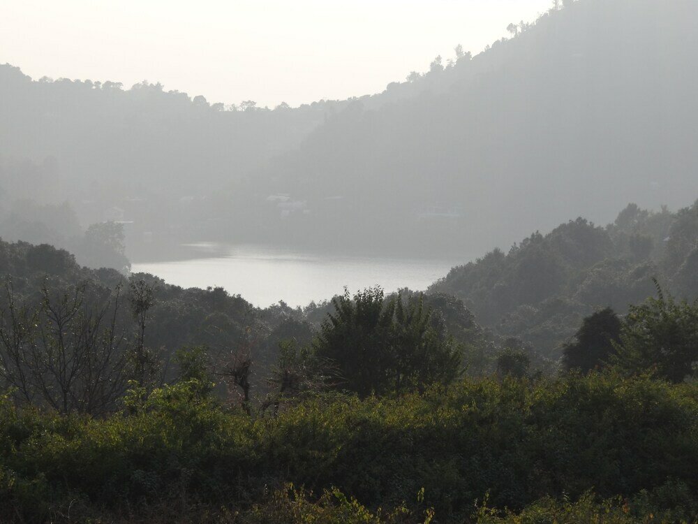 Фото Cottages at Village