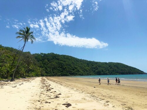 Гостиница Villa Beach - Palm Cove - Beachfront Luxury Suites в Палм-Кове