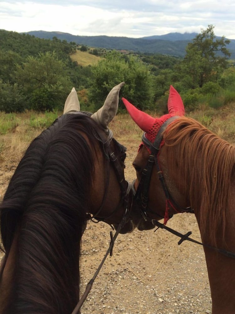 Фото Agriturismo Vocabolo Poggio del Pero