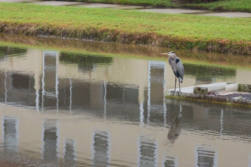 Фото Ip60382 - Fiesta Key - 4 Bed 3.5 Baths Townhome