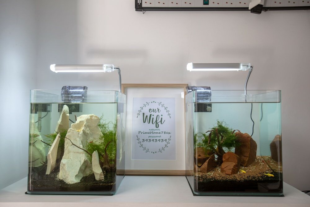 Фото Satori House - Hostel