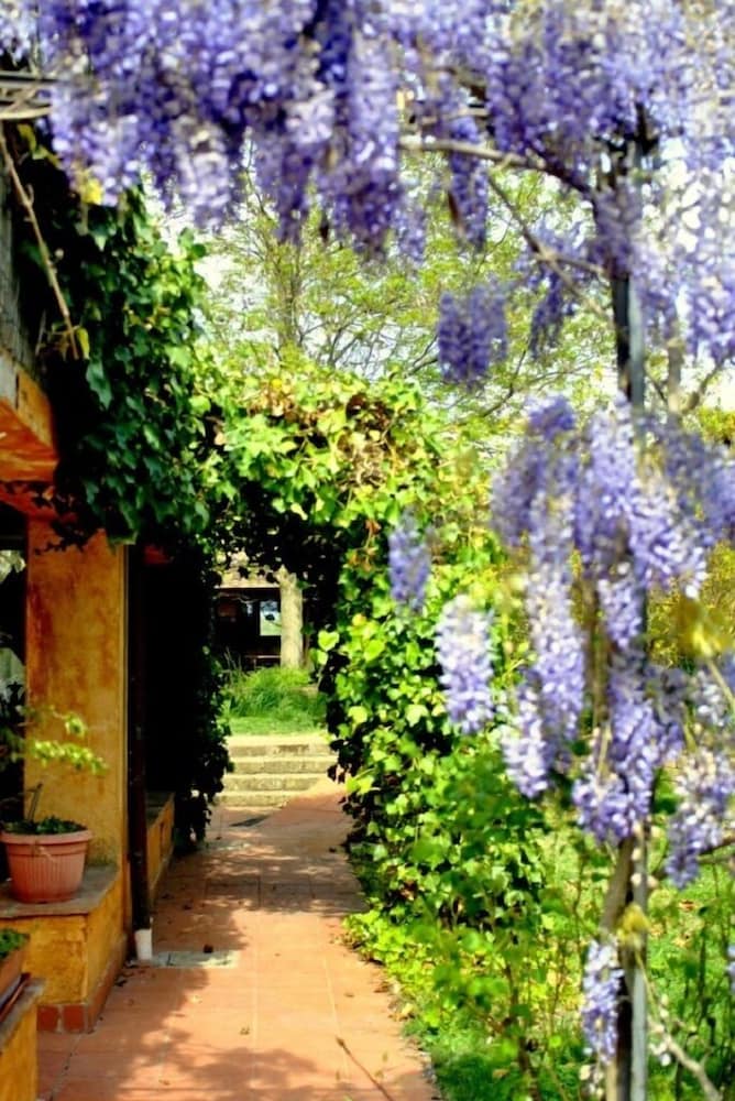 Фото Agriturismo Solidor