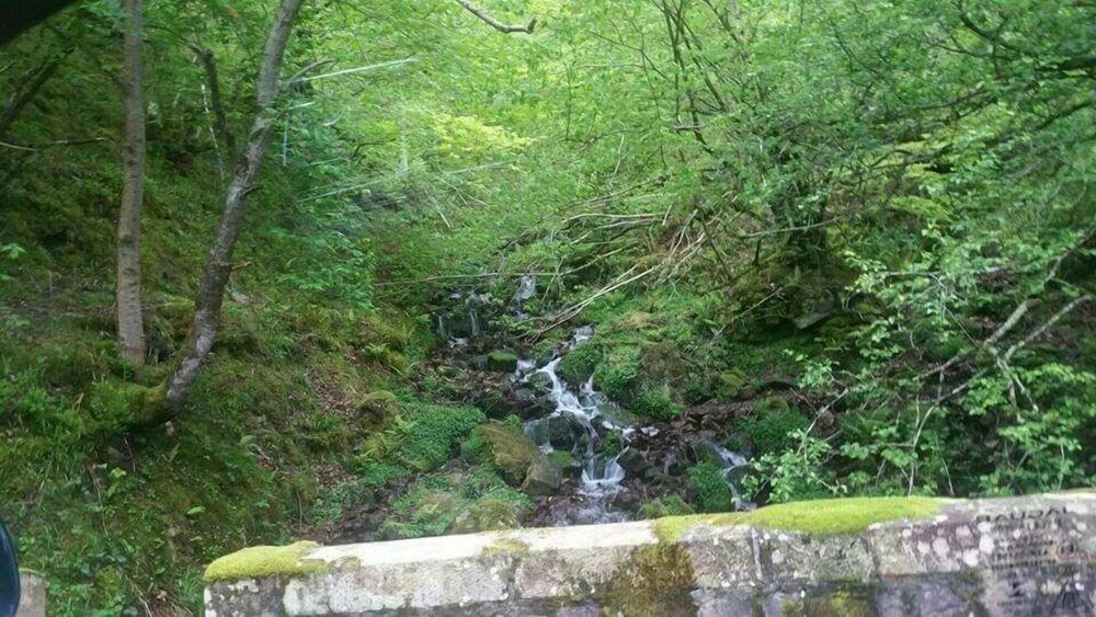 Фото El Roblón De Cabuerniga