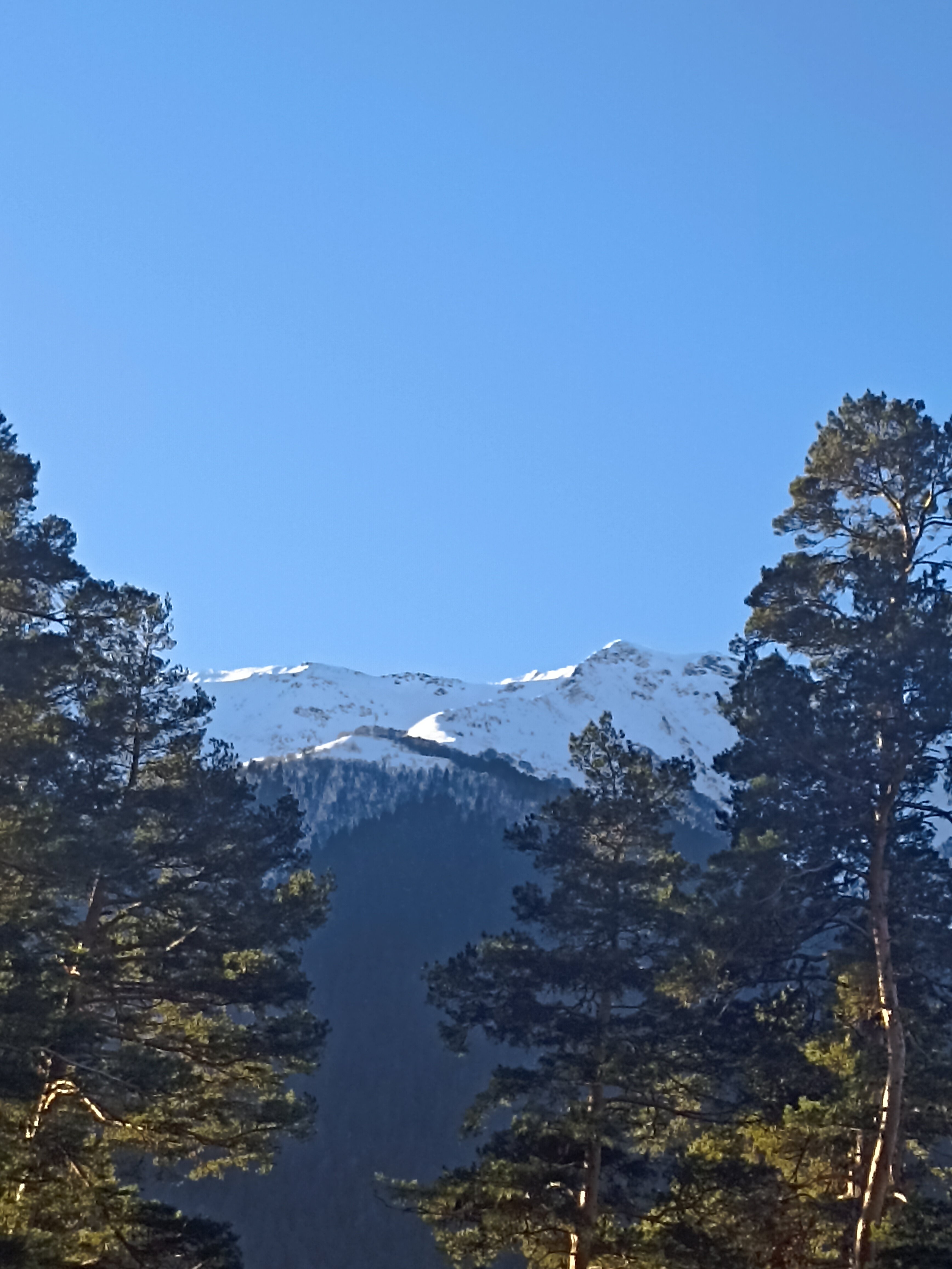 Фото Кассандра