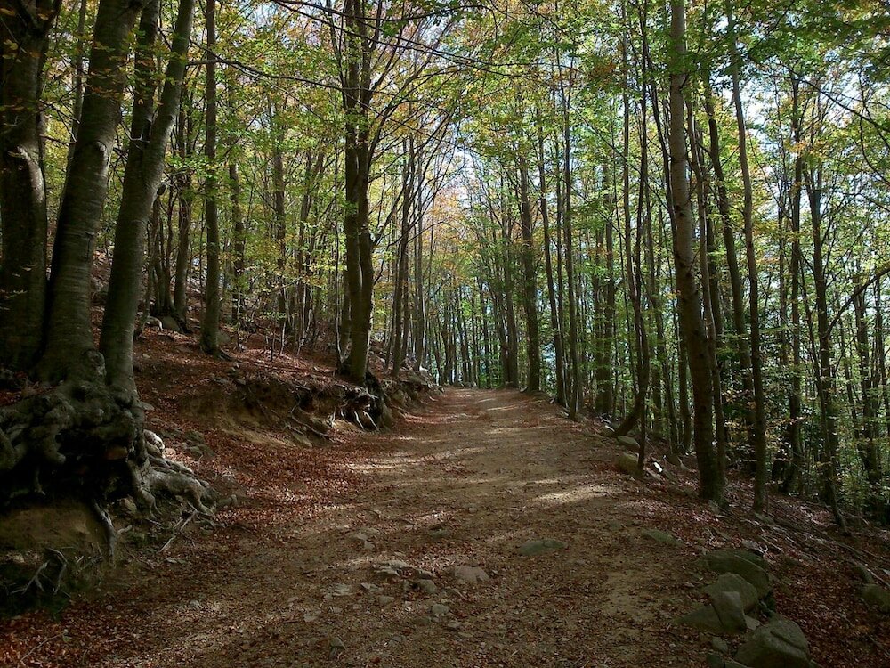 Фото Hostal Montsoliu