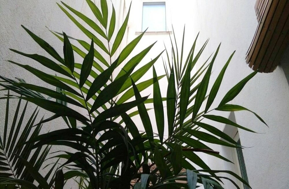 Фото Habitacions Sant Pere Claver