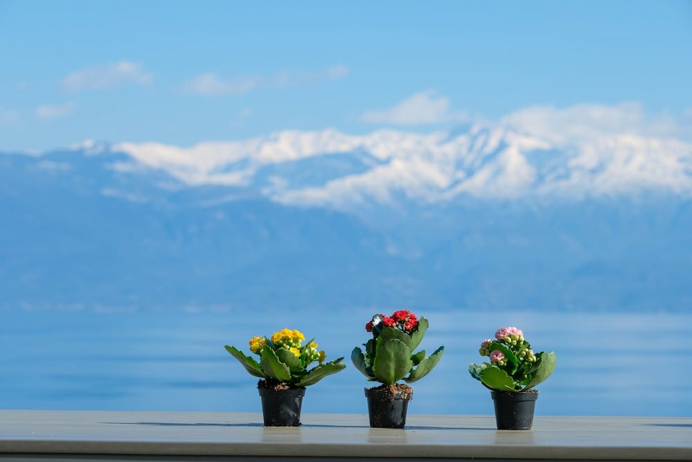 Фото Hilltop Residences