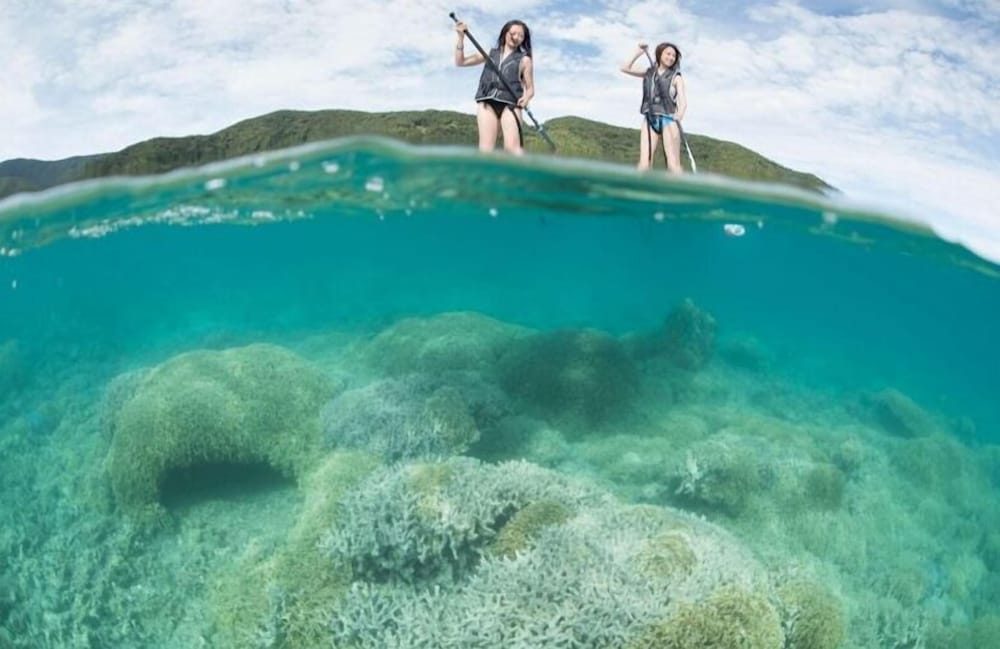 Фото Zerogravity koniya clubhouse