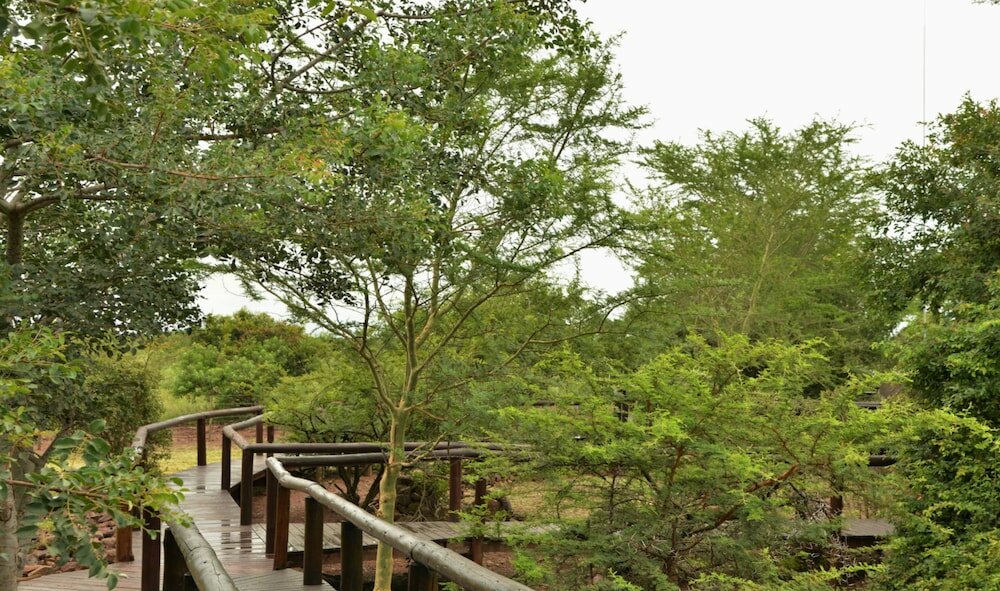 Фото Shishangeni, by Bon Hotels