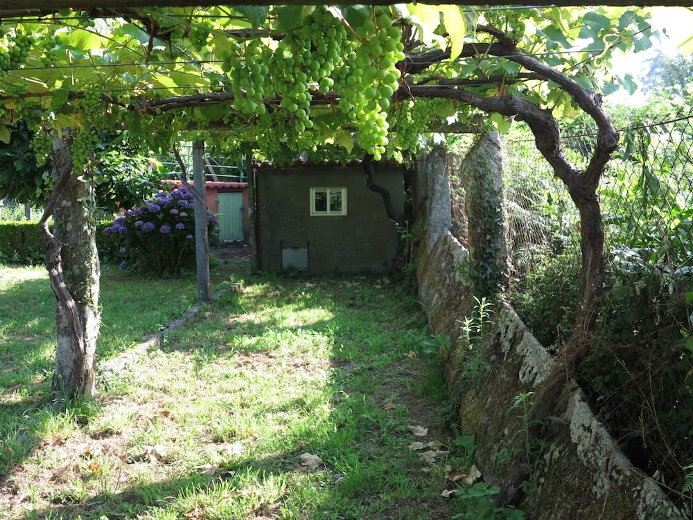 Фото Hostal Boavista