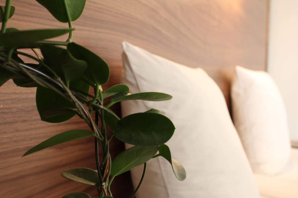 Фото Hotell Hjalmar