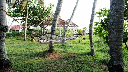 Гостиница True Blue Beach Resort, Trivandrum в Варкале