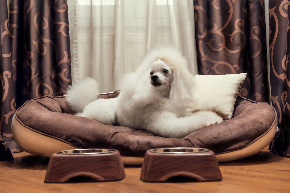 Фото City Residence Apartment Hotel