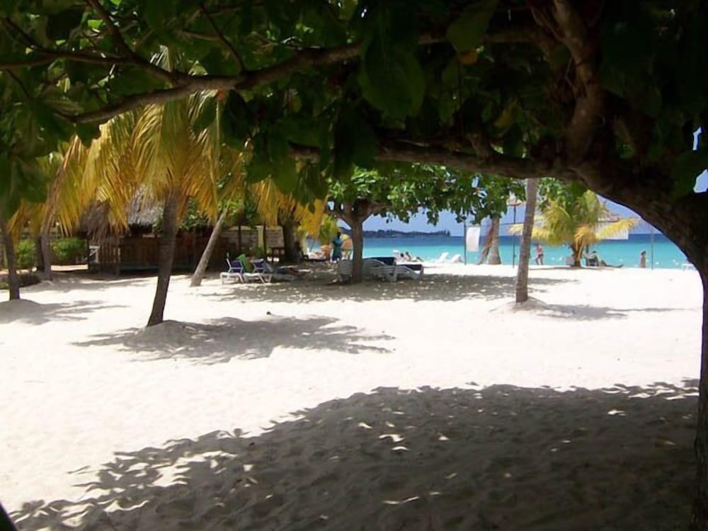 Фото The Yellow Bird