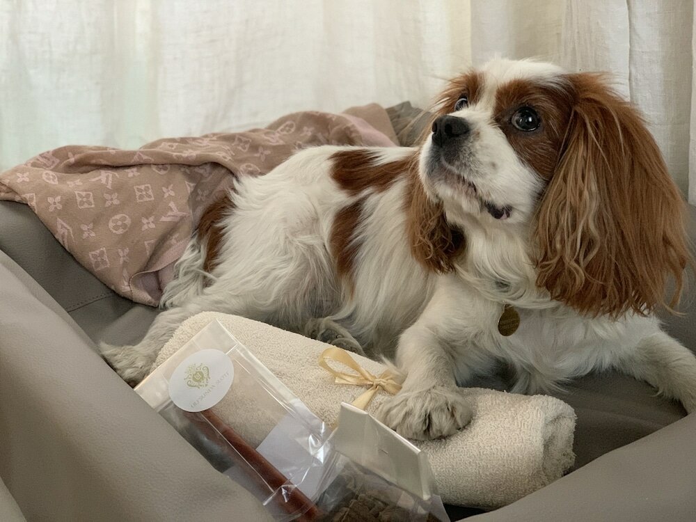 Фото Ulfsunda Slott