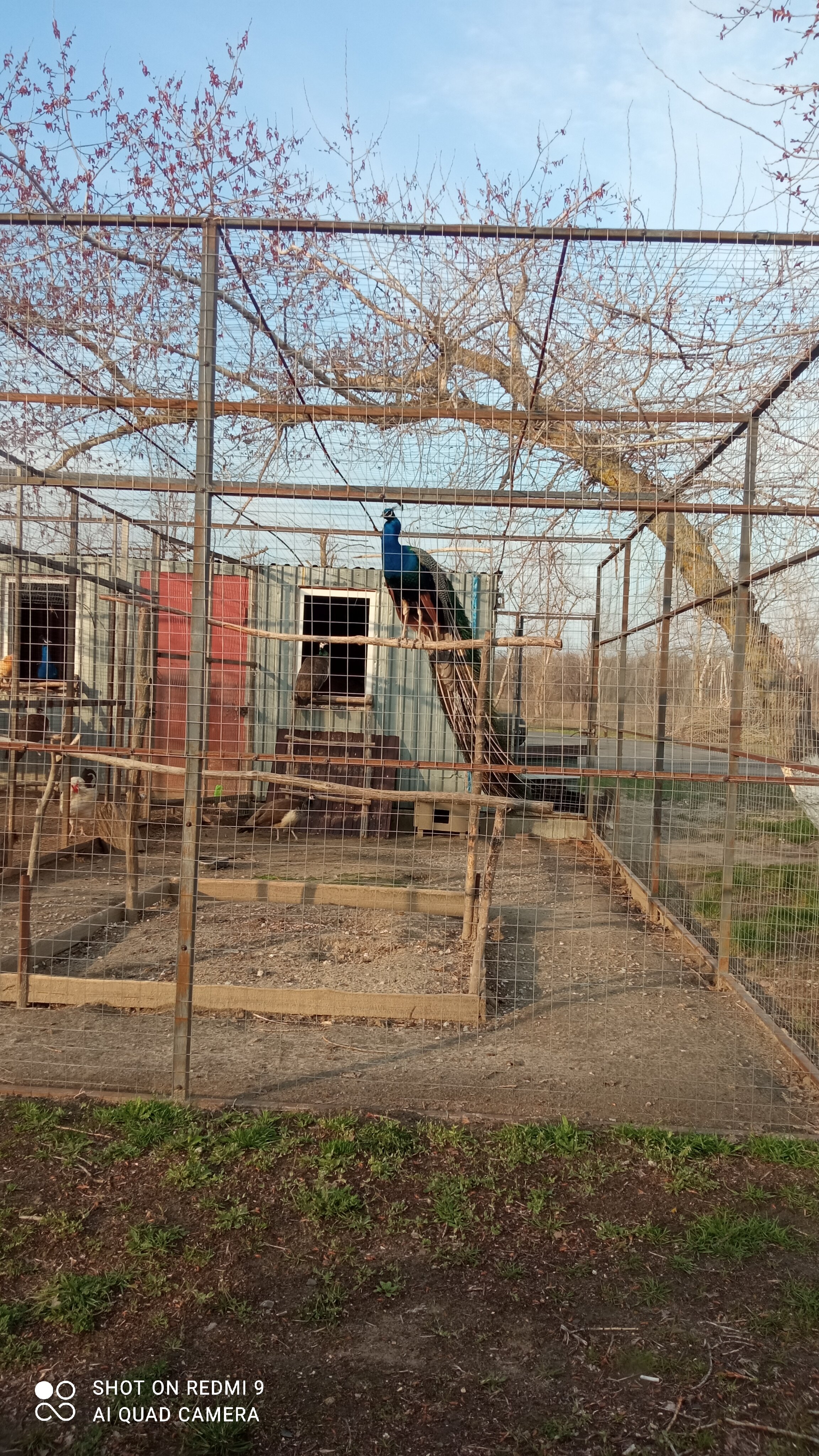 Фото Петровская Застава