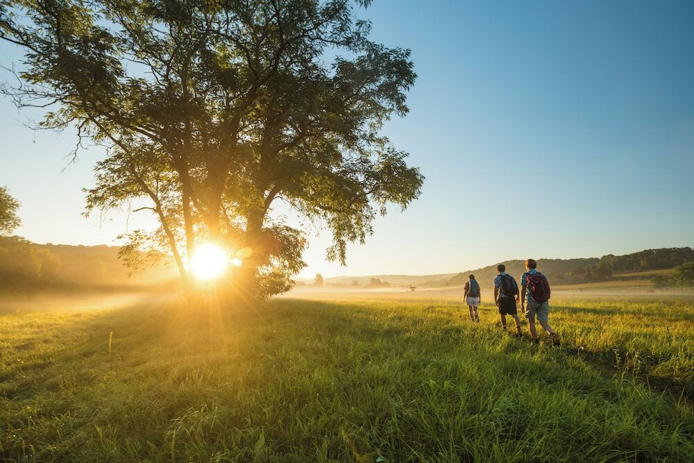 Фото BollAnts SPA im Park