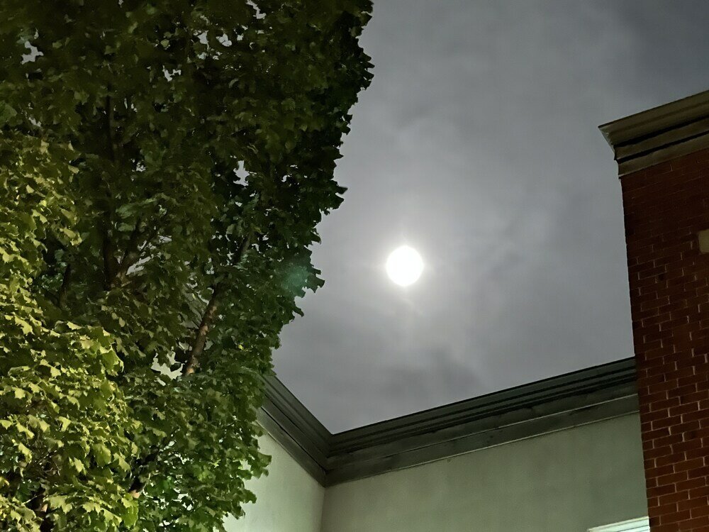 Фото Pied-A-Terre Mont-Royal