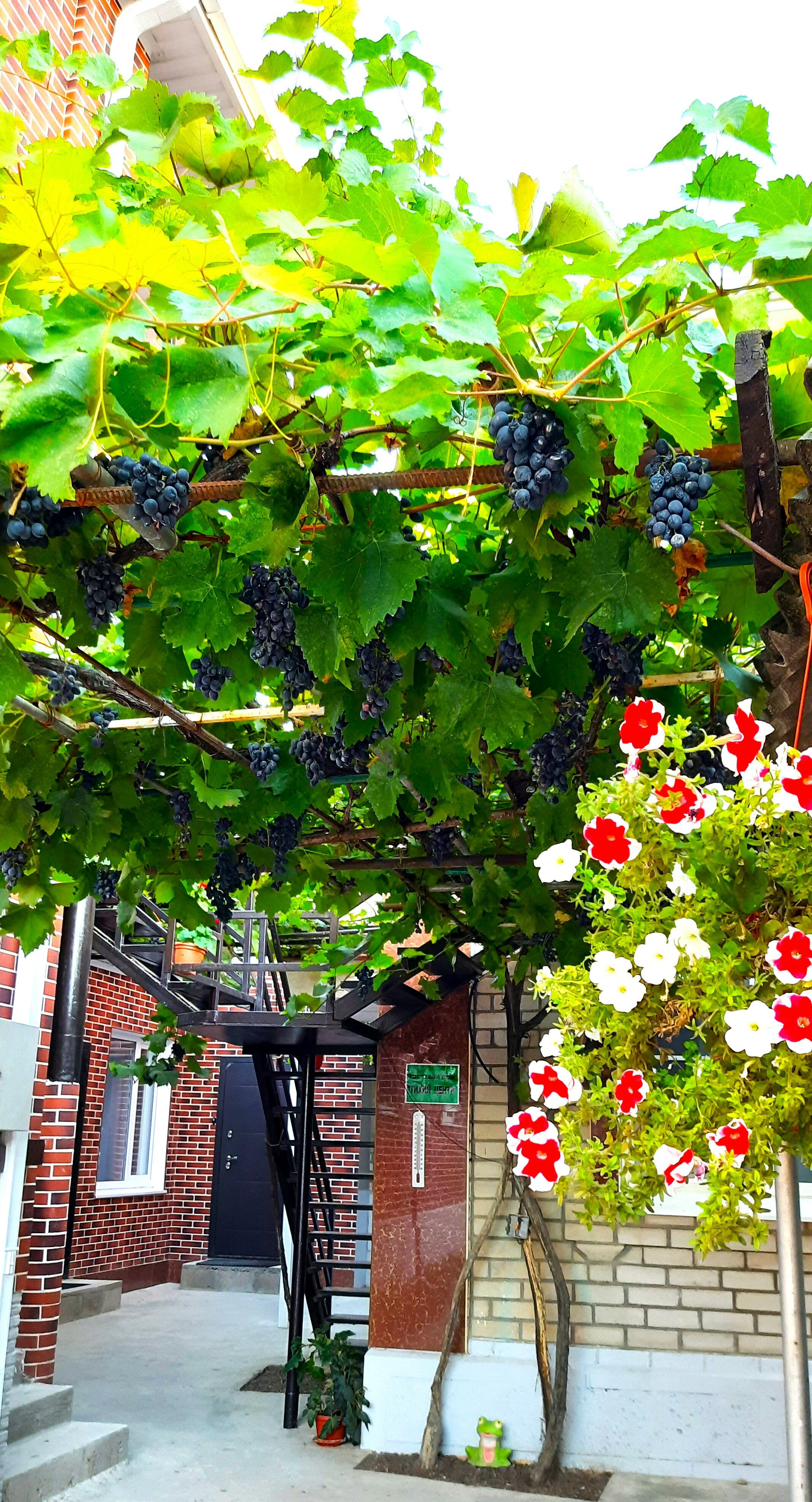 Фото Тихий центр