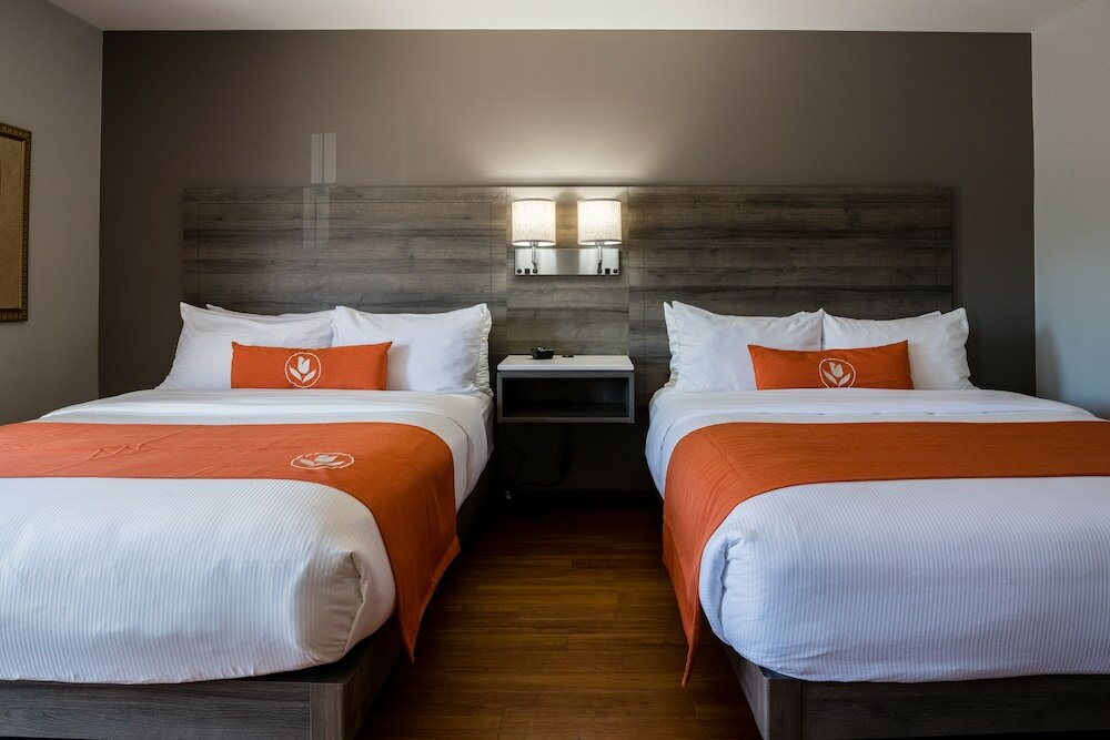 Фото Amsterdam Inn & Suites Moncton