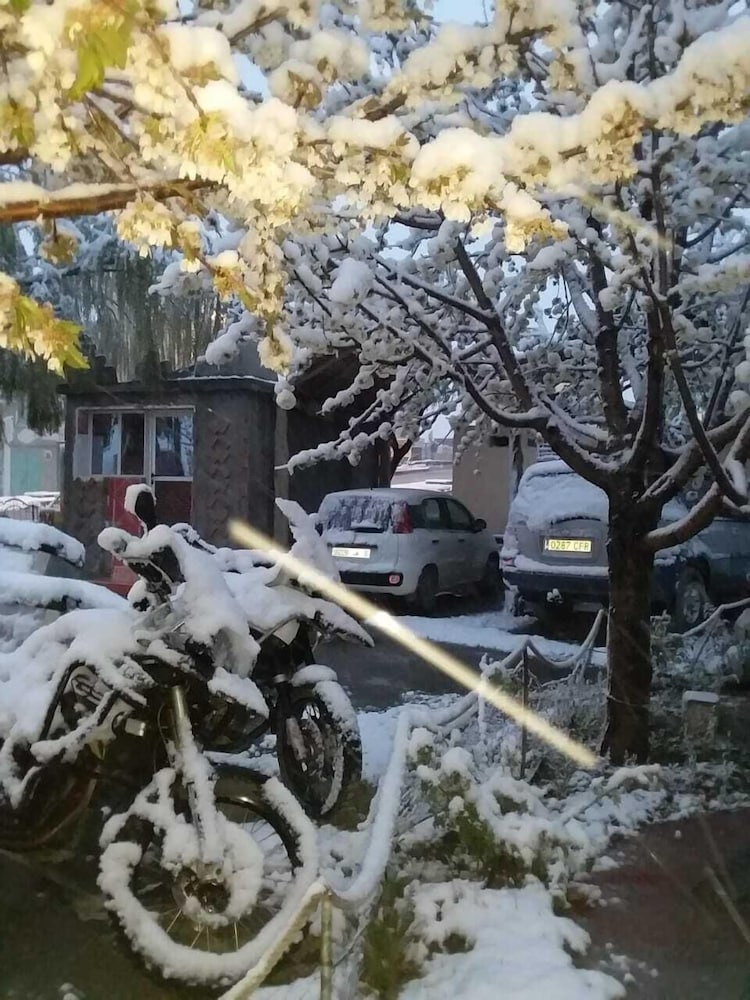 Фото Complexe Collier D'Ambre