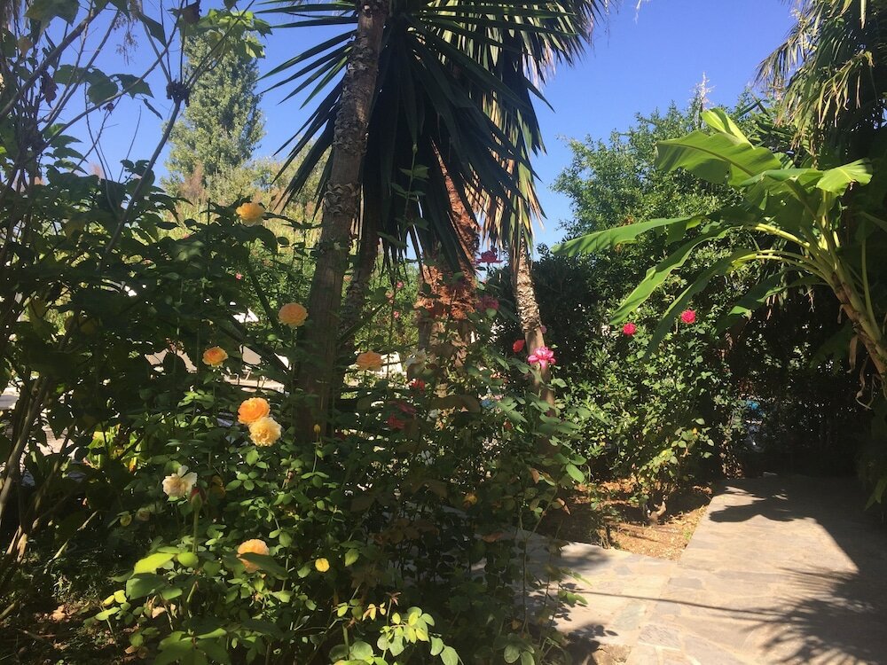 Фото Ilena Hotel