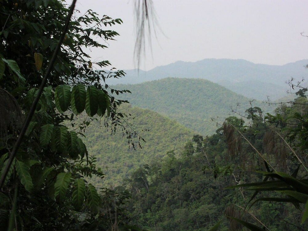 Фото Long Beach Inn