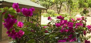 Гостиница Woodlands Lilongwe