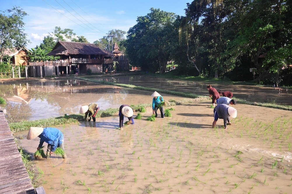 Фото ViengTara VangVieng Resort