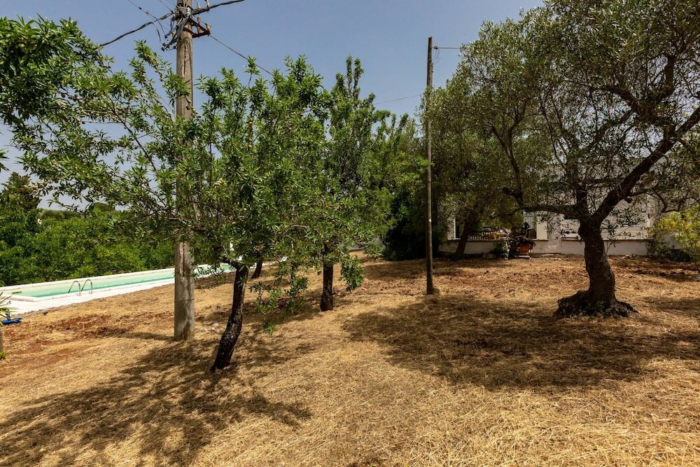 Фото 2480 Villa Sessana by Perle di Puglia