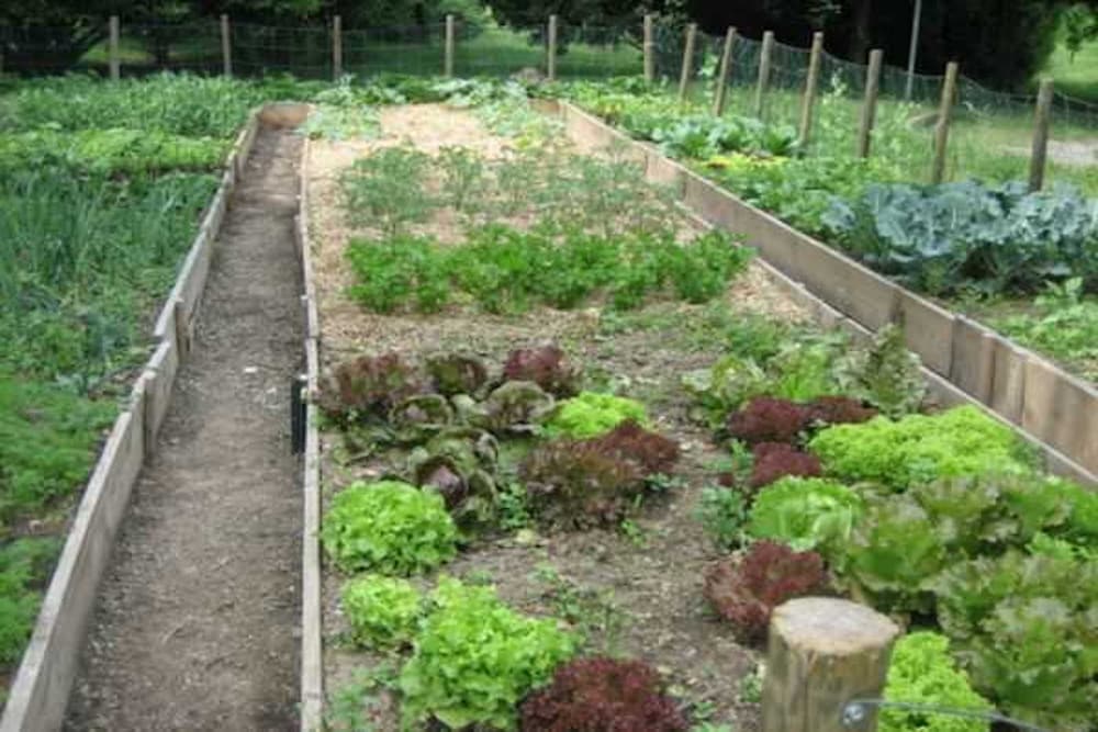 Фото Romantic Apartment In Agriturismo