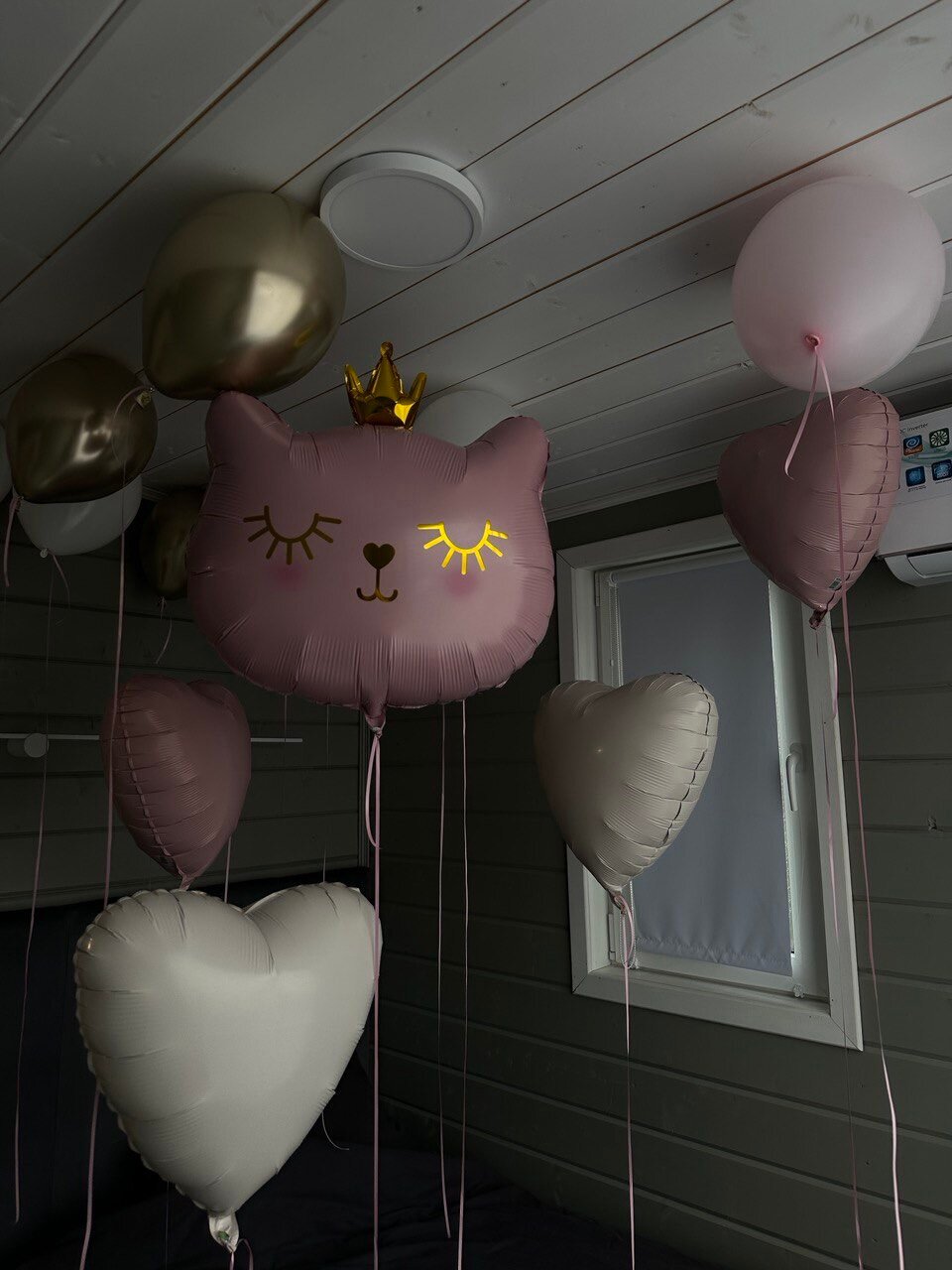 Фото Сканди Лайф