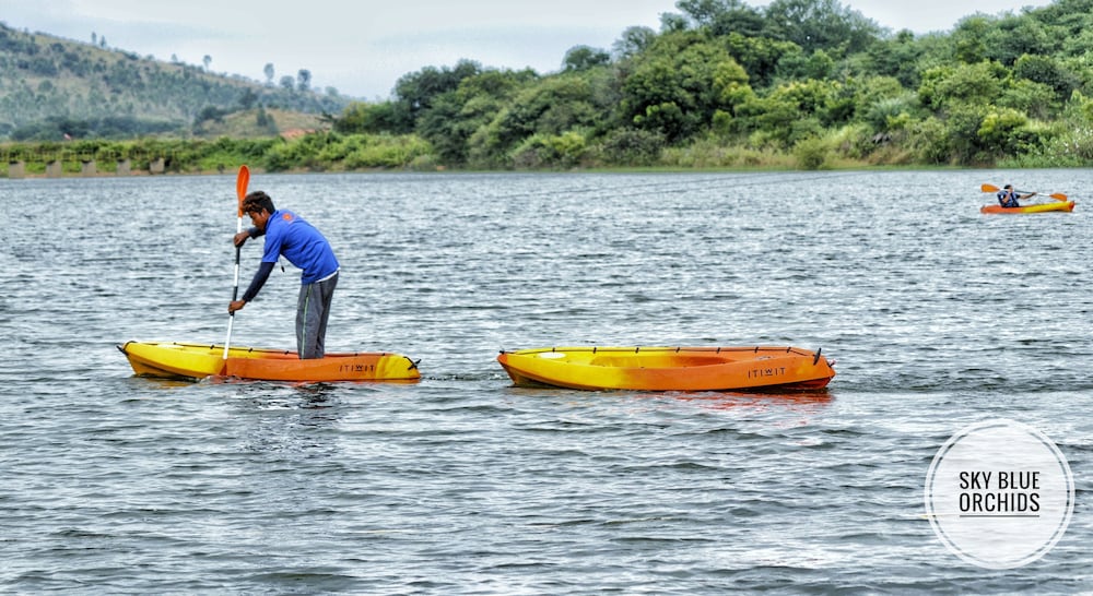 Фото SV Sky Blue Orchids