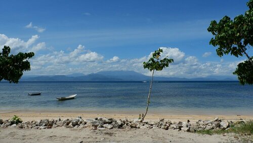 Гостиница Mangrove Beach Hut Lembongan