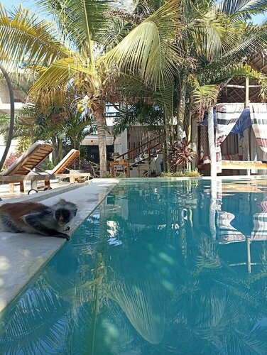 Гостиница Fatuma House Hotel