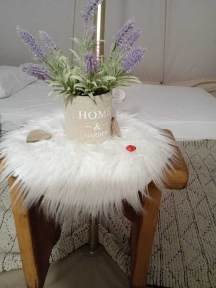 Фото Queens Luxury Glamping