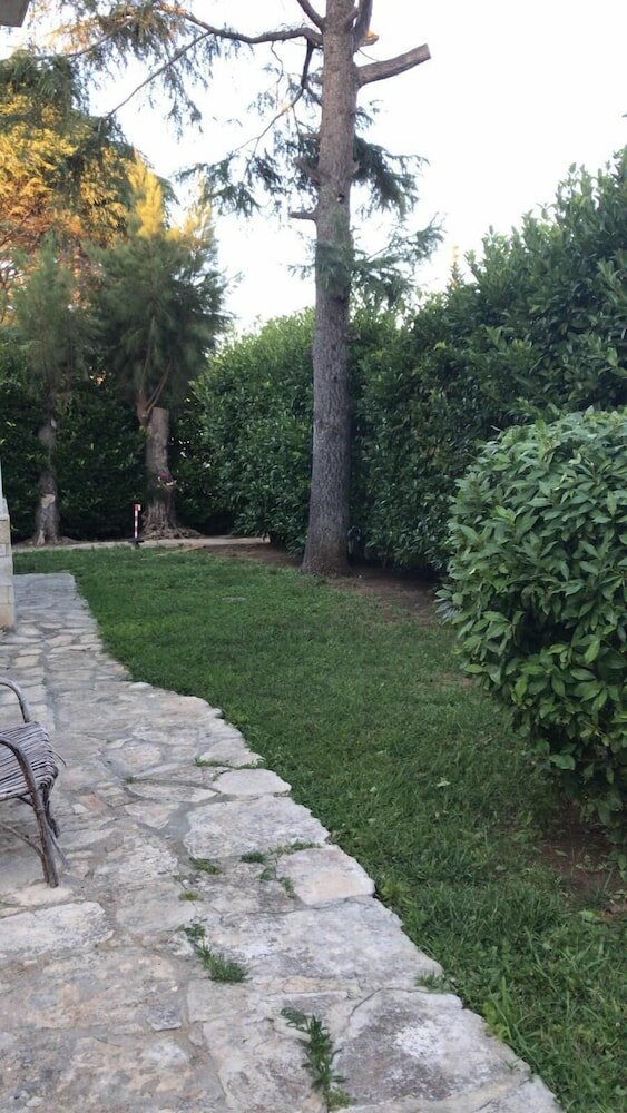 Фото Villa Susanna