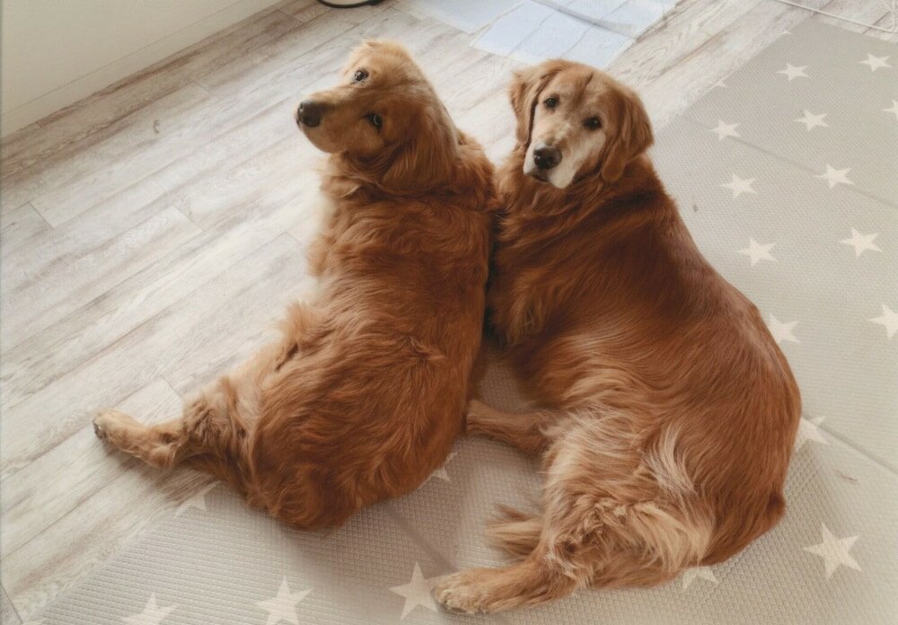 Фото Riverside Hostel B&b – Hostel