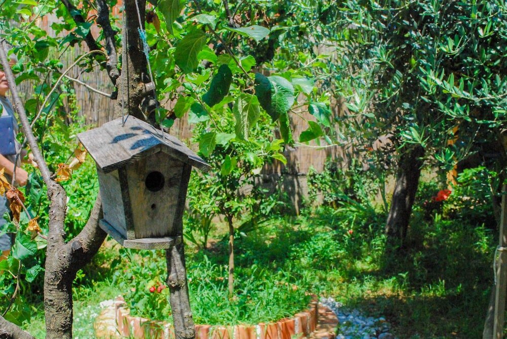 Фото Apartments Tea Kotor